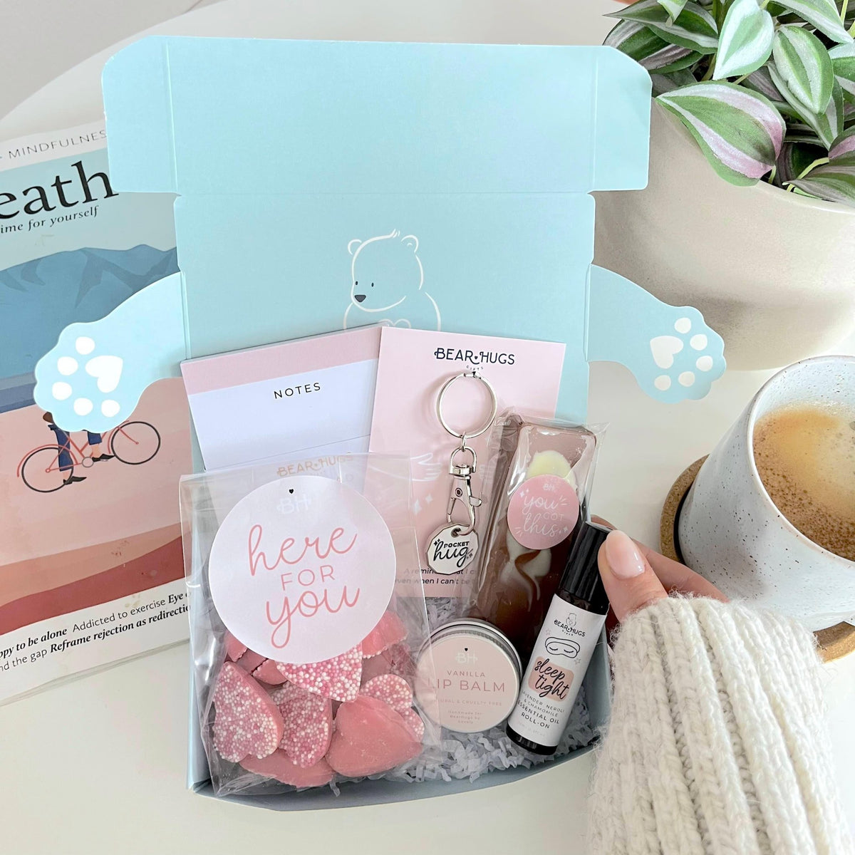 Build Your Own Hug In A Box - BearHugs