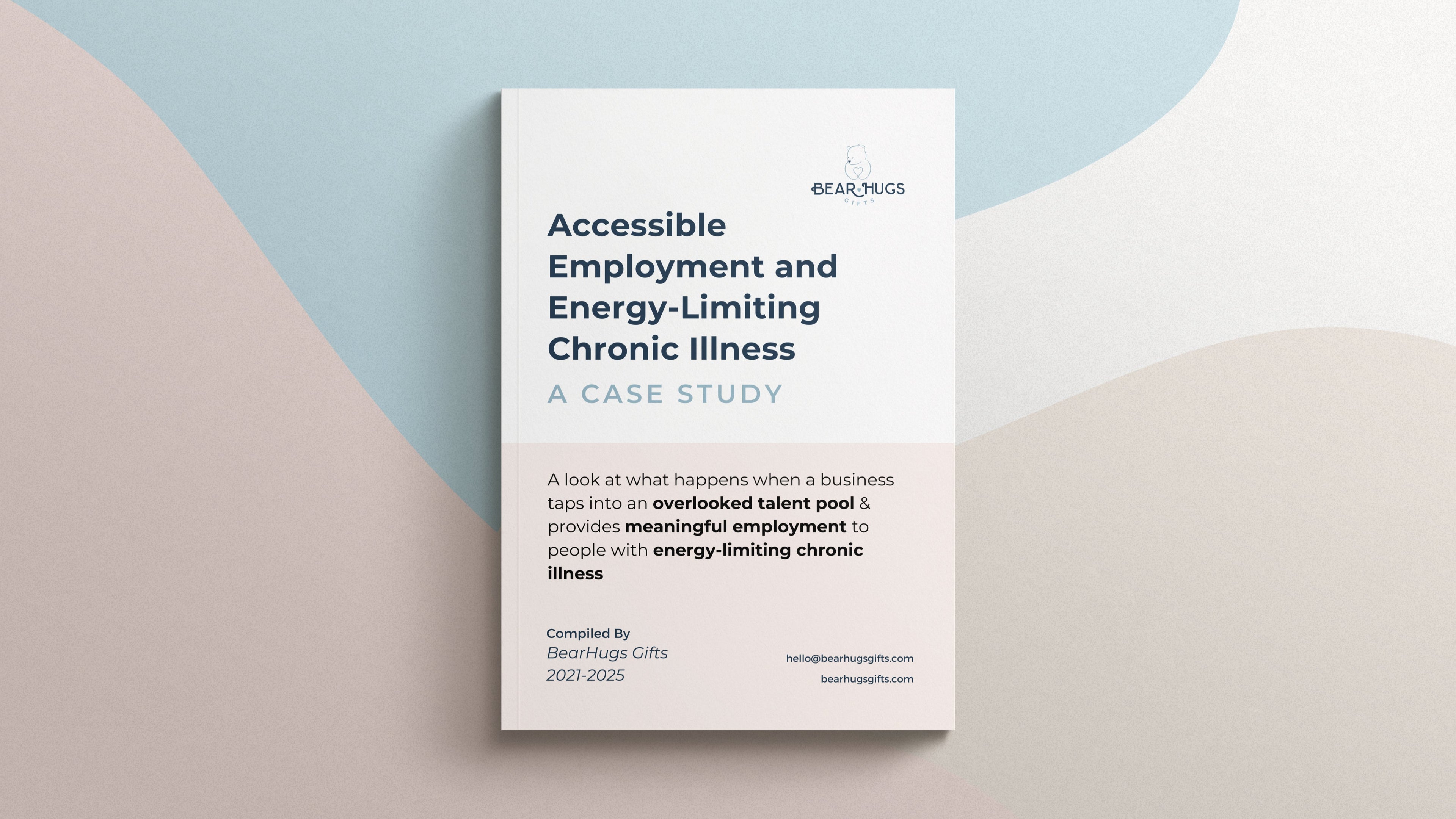 Book cover titled 'Accessible Employment and Energy-Limiting Chronic Illness' on a light blue and beige background