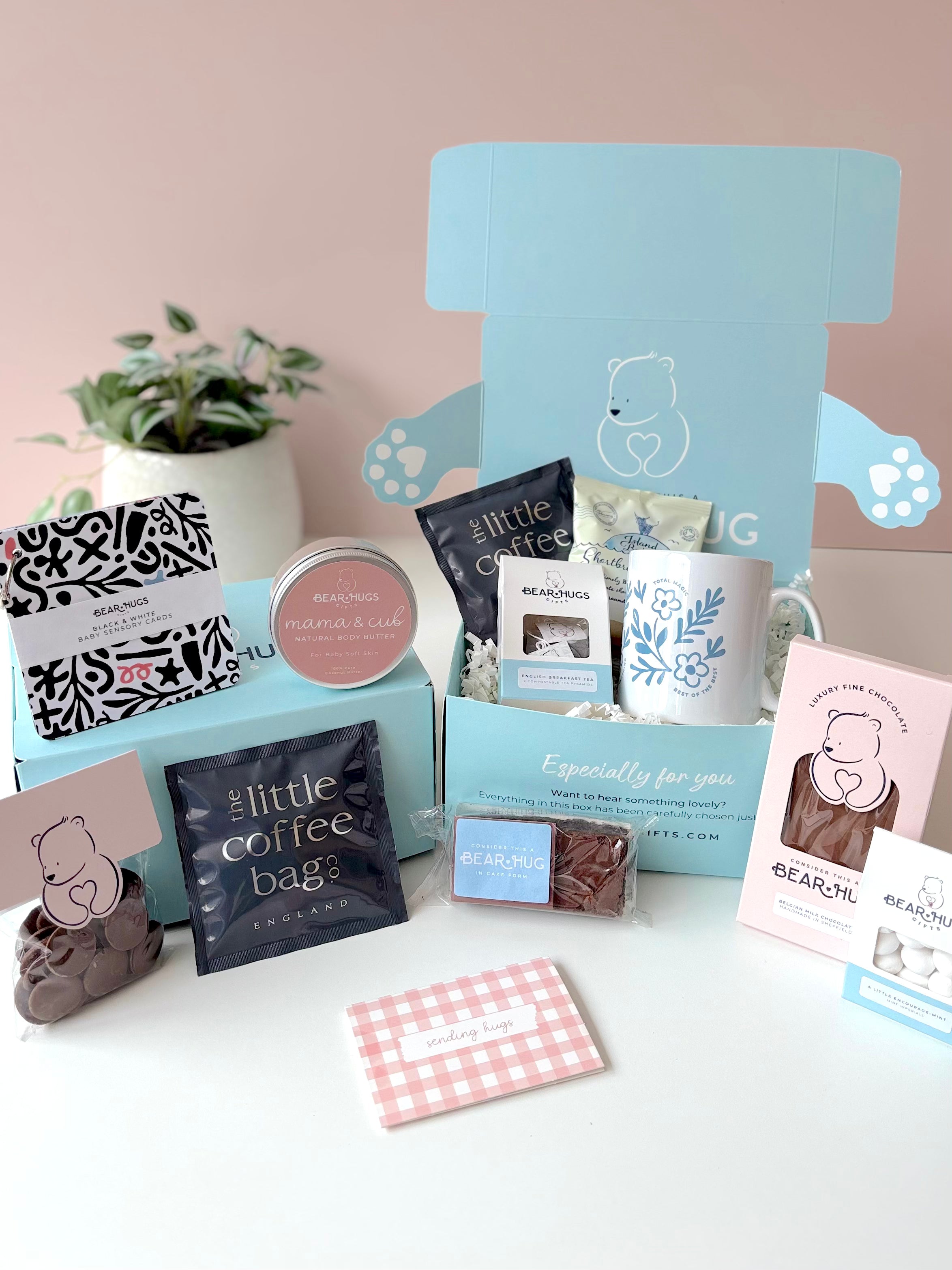 New Baby, Big Hug Gift Box