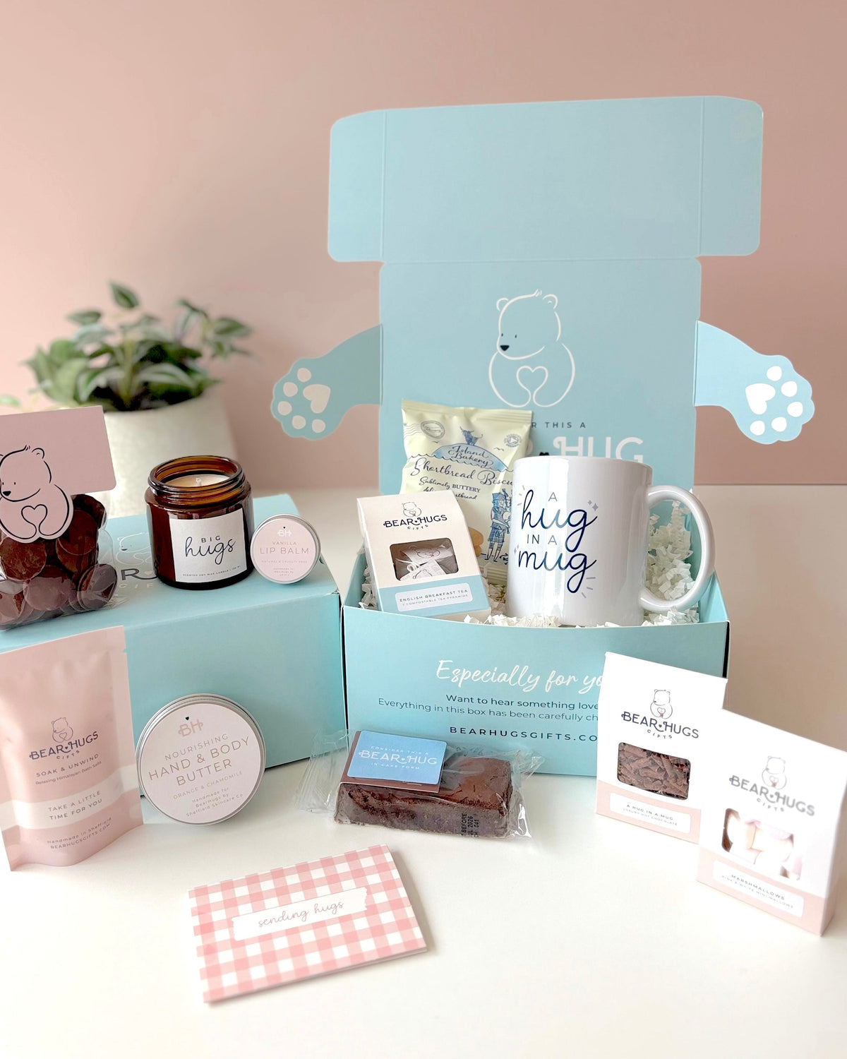 The Extra Special Hug in a Box - BearHugs - thinking of you gifts by post