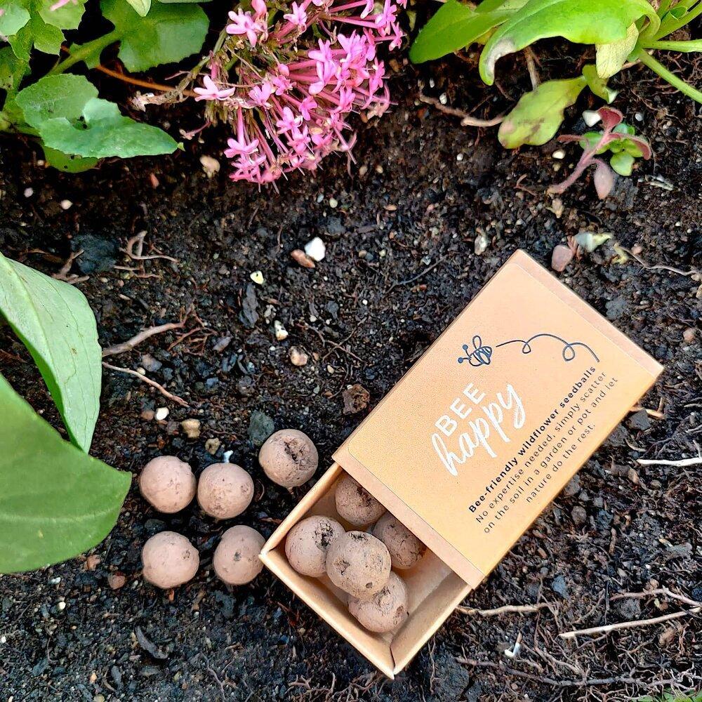 Bee Happy Wildflower Seedballs - BearHugs - thinking of you gifts by post