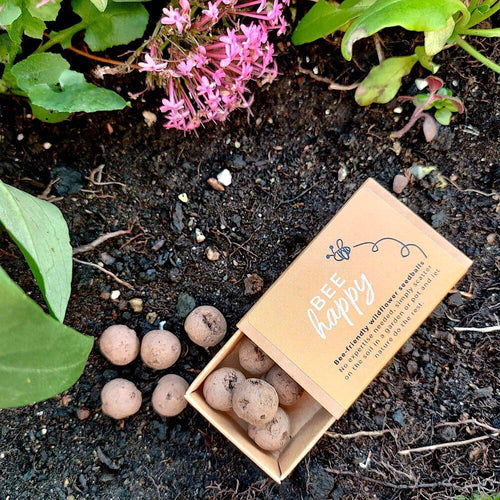 Bee Happy Wildflower Seedballs - BearHugs - thinking of you gifts by post