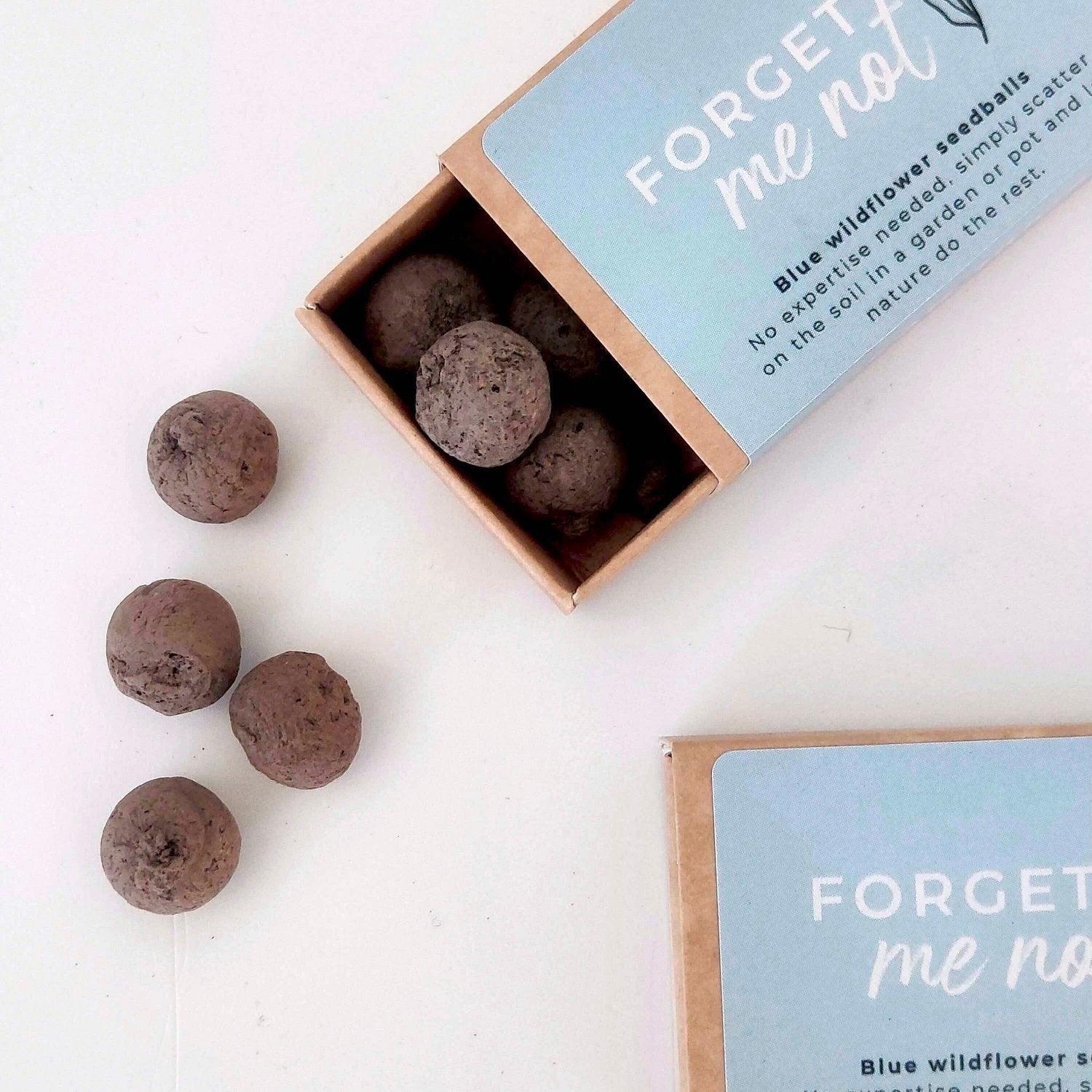 Forget Me Not Seedballs - BearHugs - thinking of you gifts by post