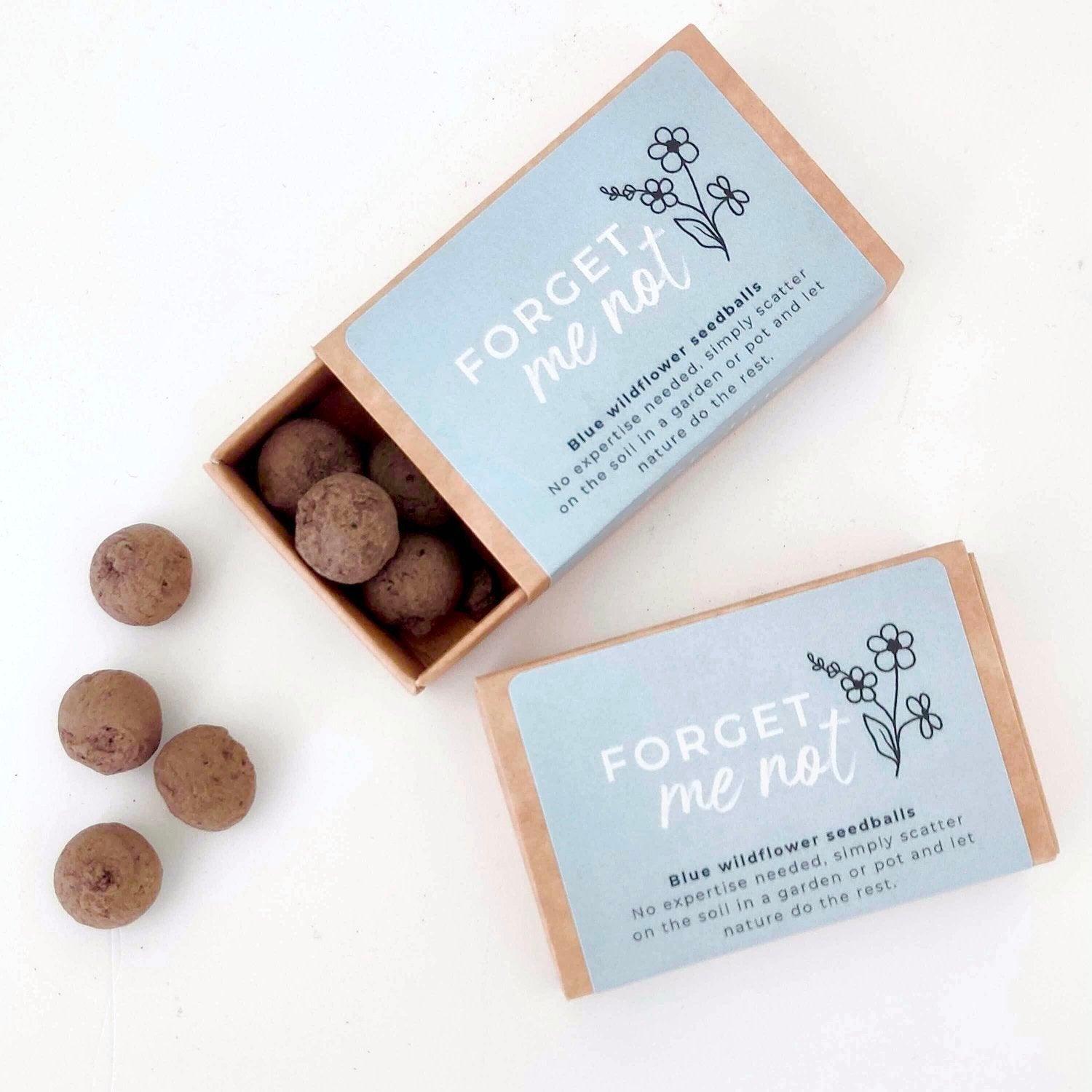 Forget Me Not Seedballs - BearHugs - thinking of you gifts by post