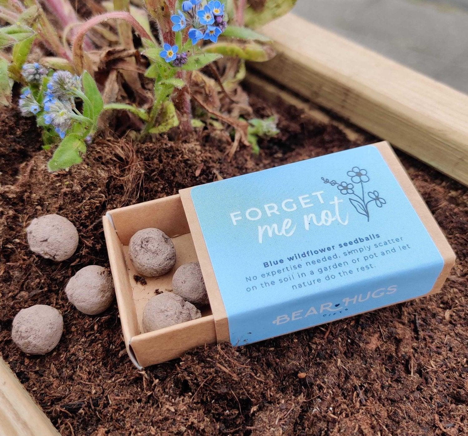 Forget Me Not Seedballs - My Store - thinking of you gifts by post